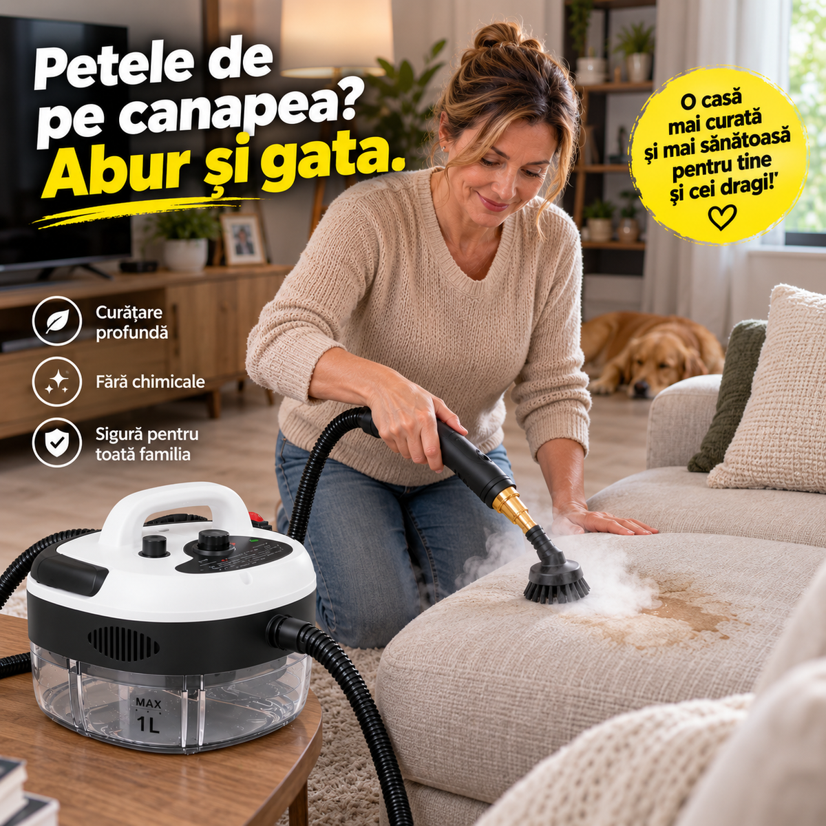 Aparat de Curățat cu Abur, 2500W, Rezervor 1L, 14 Accesorii, Presiune Înaltă